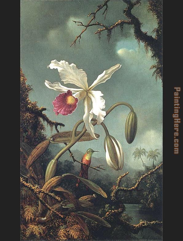 White Brazilian Orchid painting - Martin Johnson Heade White Brazilian Orchid art painting